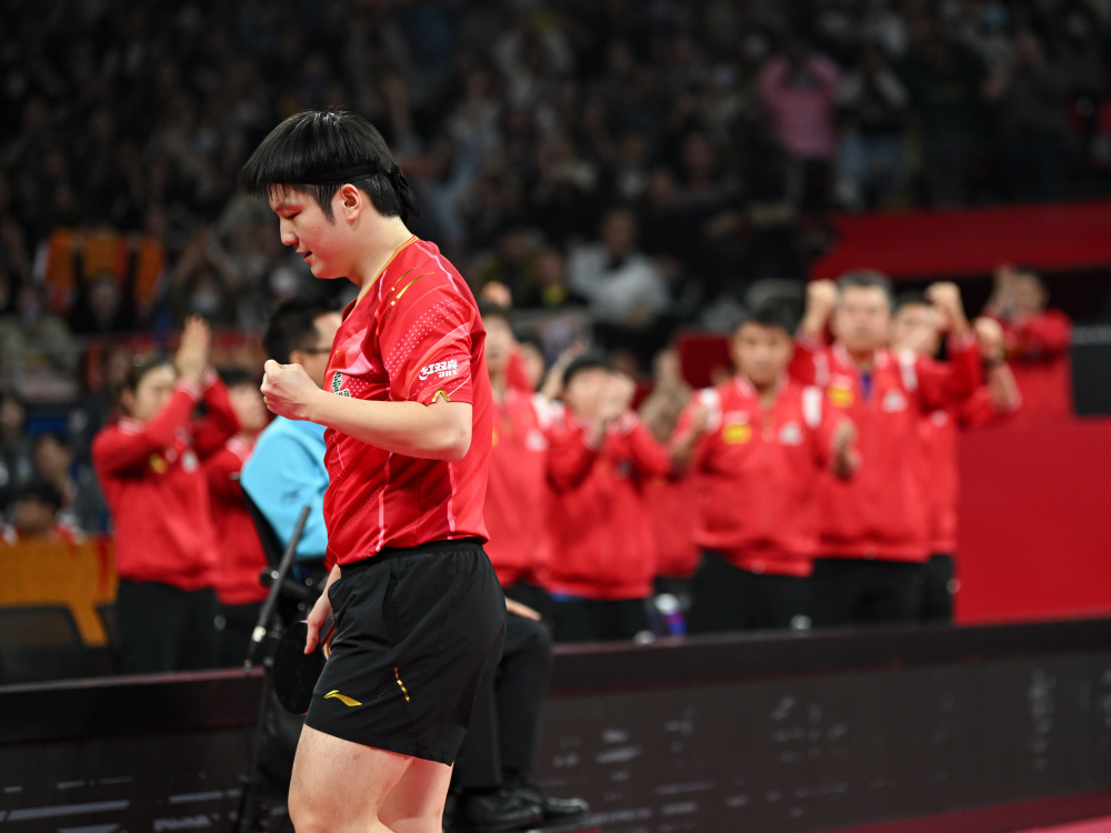 包含瑞典乒乓球队力克法国乒乓球队，樊振东统治全场的词条