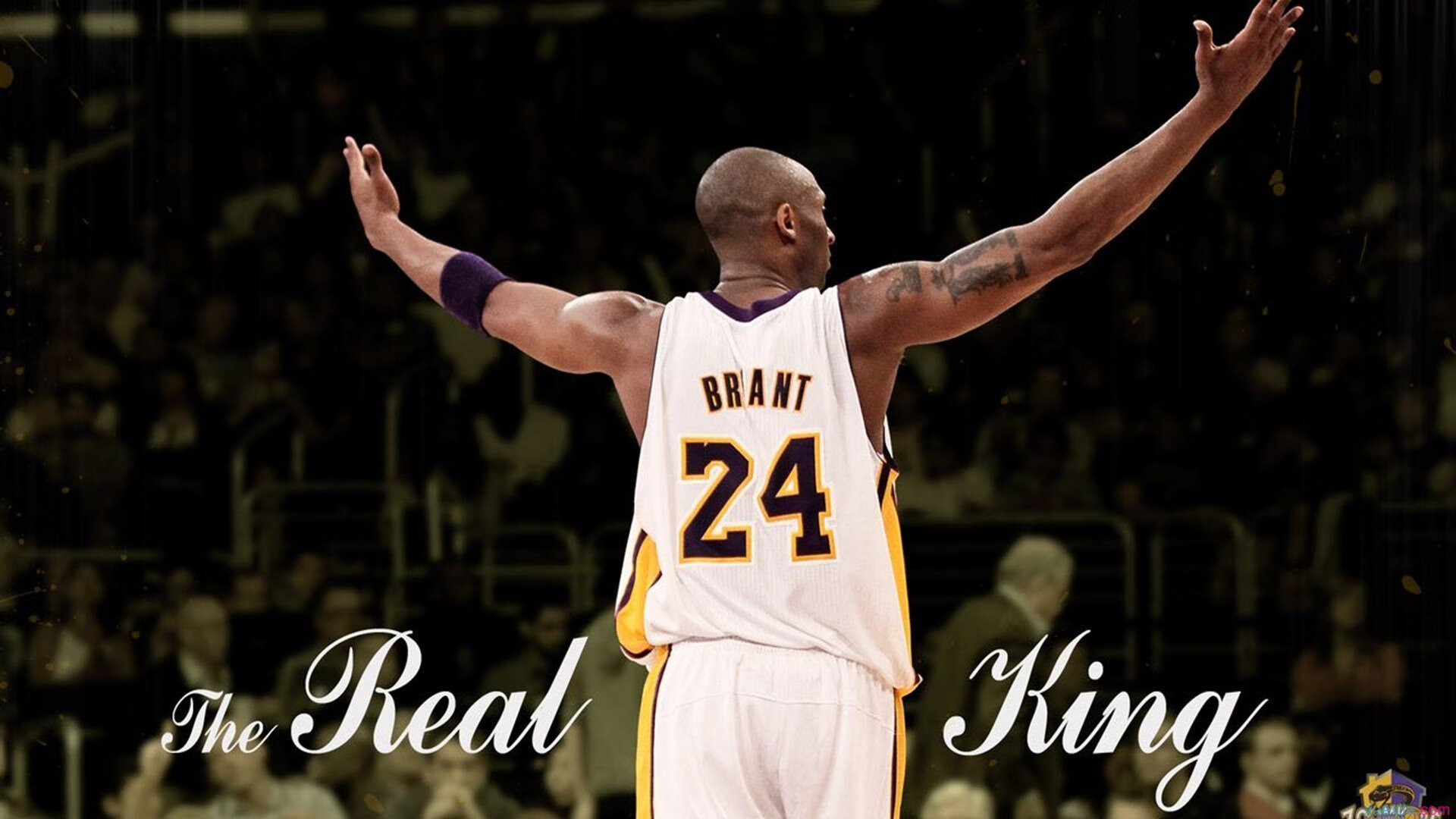 当孟菲斯的铁壁遇见休斯顿的流星,杰伦·格林如何用唯一性改写公牛与灰熊的剧本